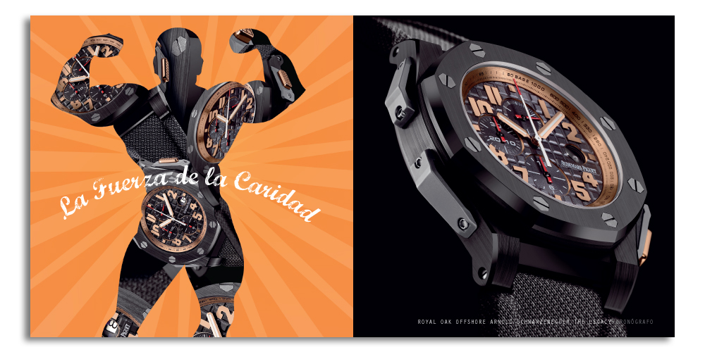 Audemars Piguet image