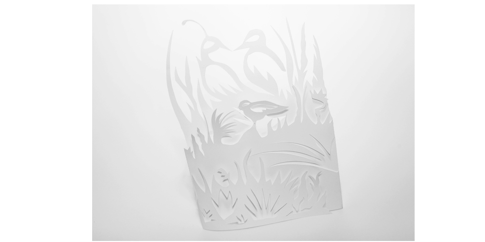 Custom Illustration image