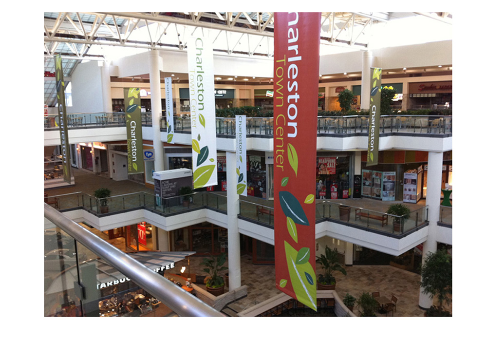 Charleston Town Center image